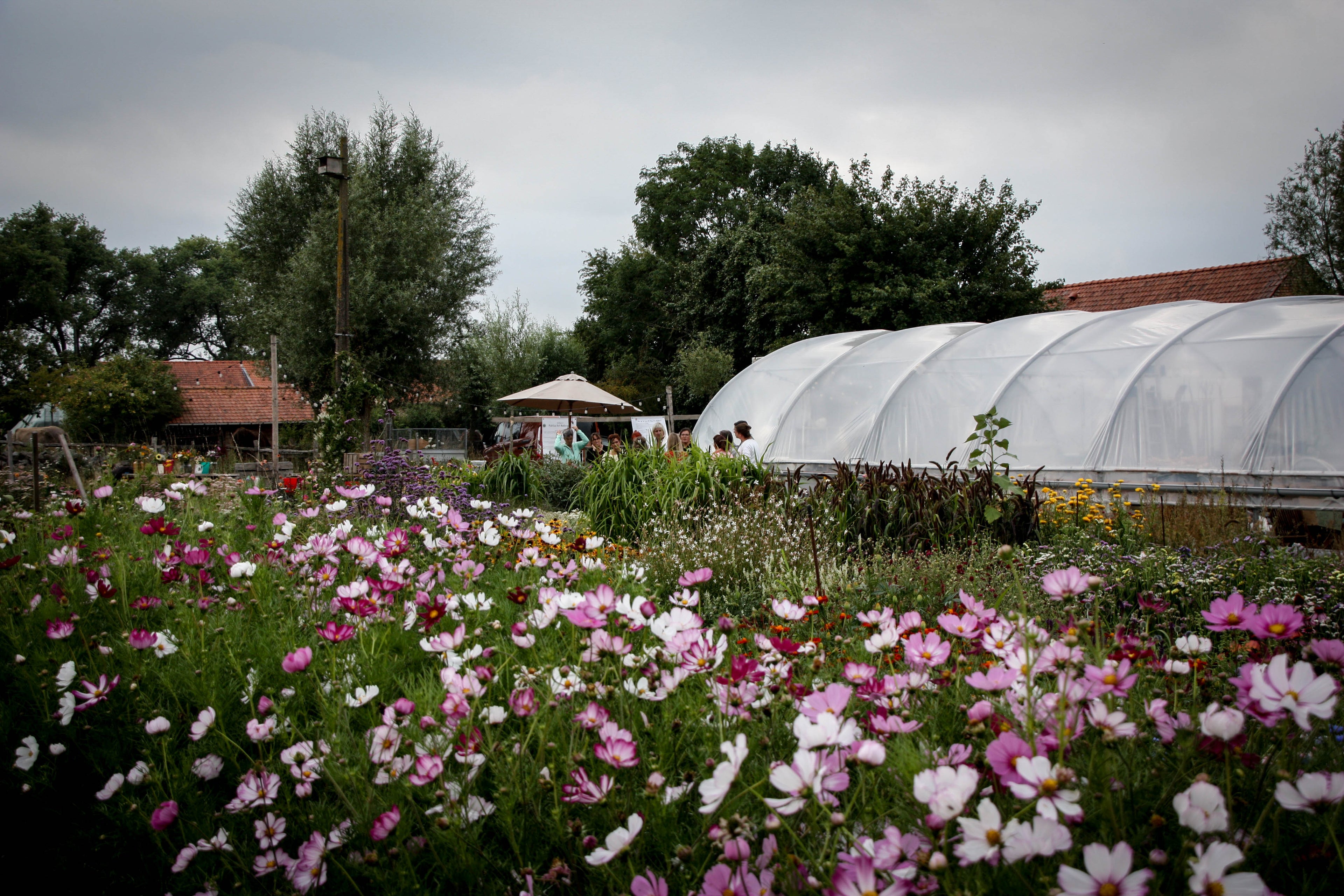 Gezellige plukavonden