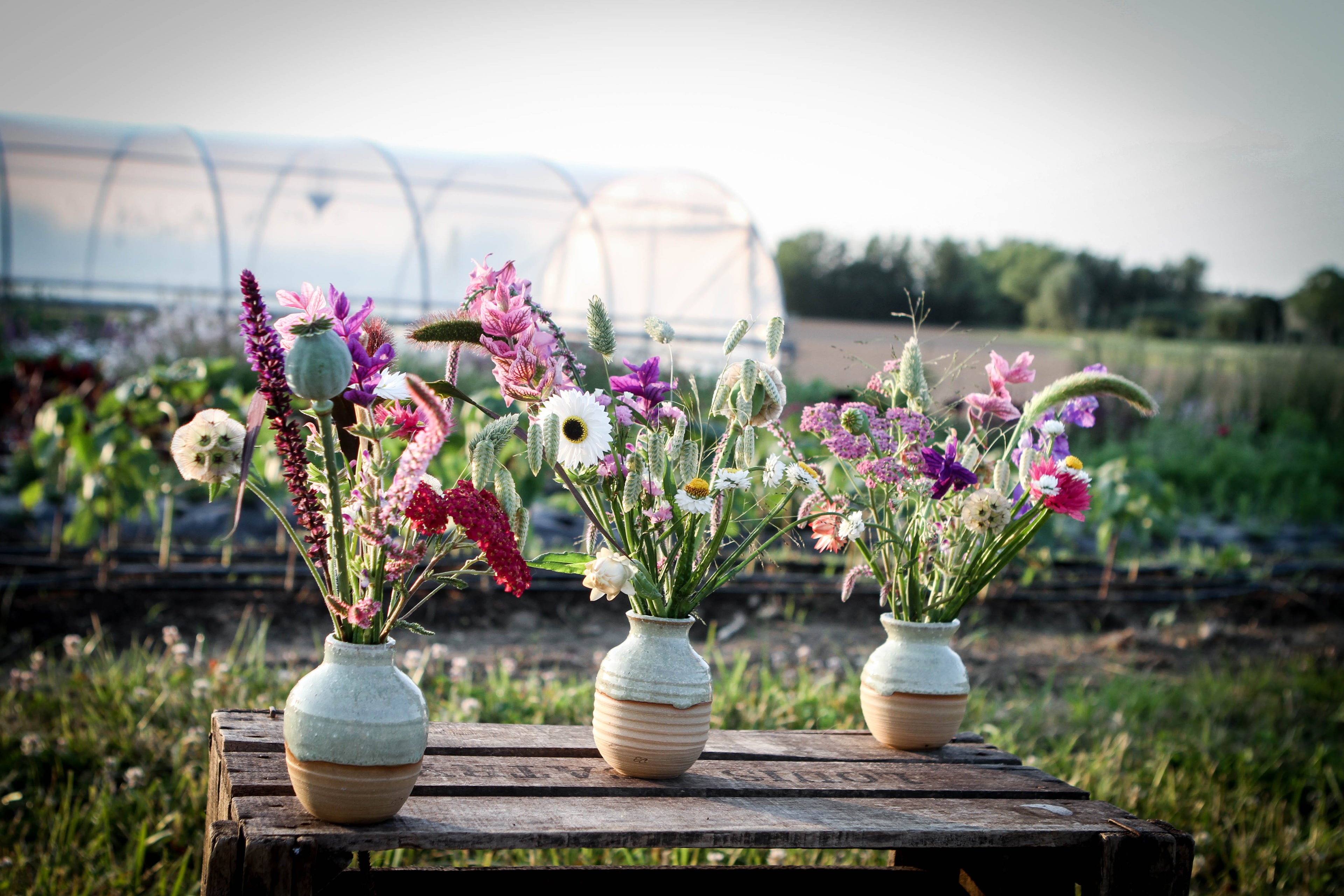 Duo-workshop: Vaas & Veld