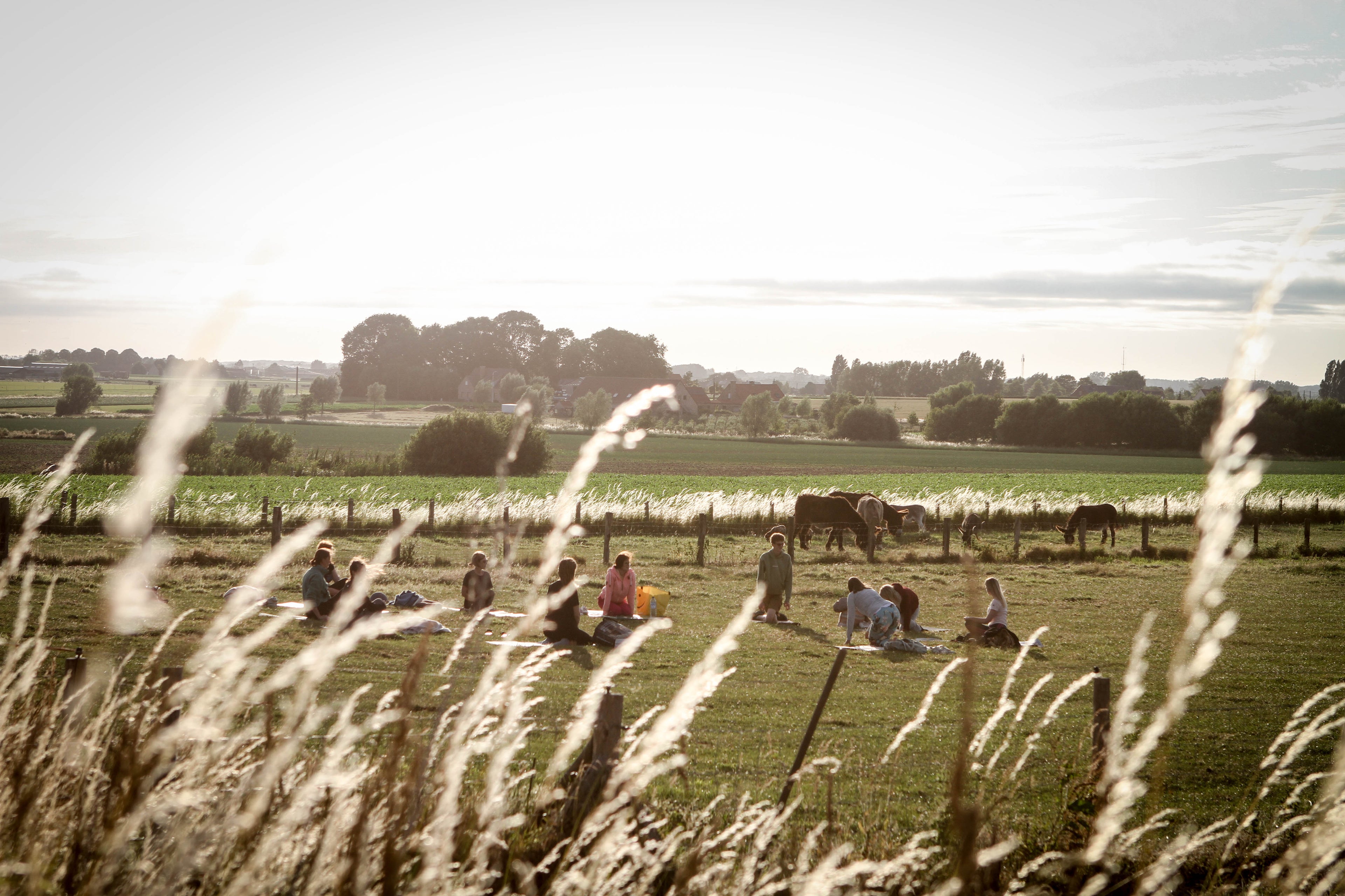 Zangcirkel rond het vuur