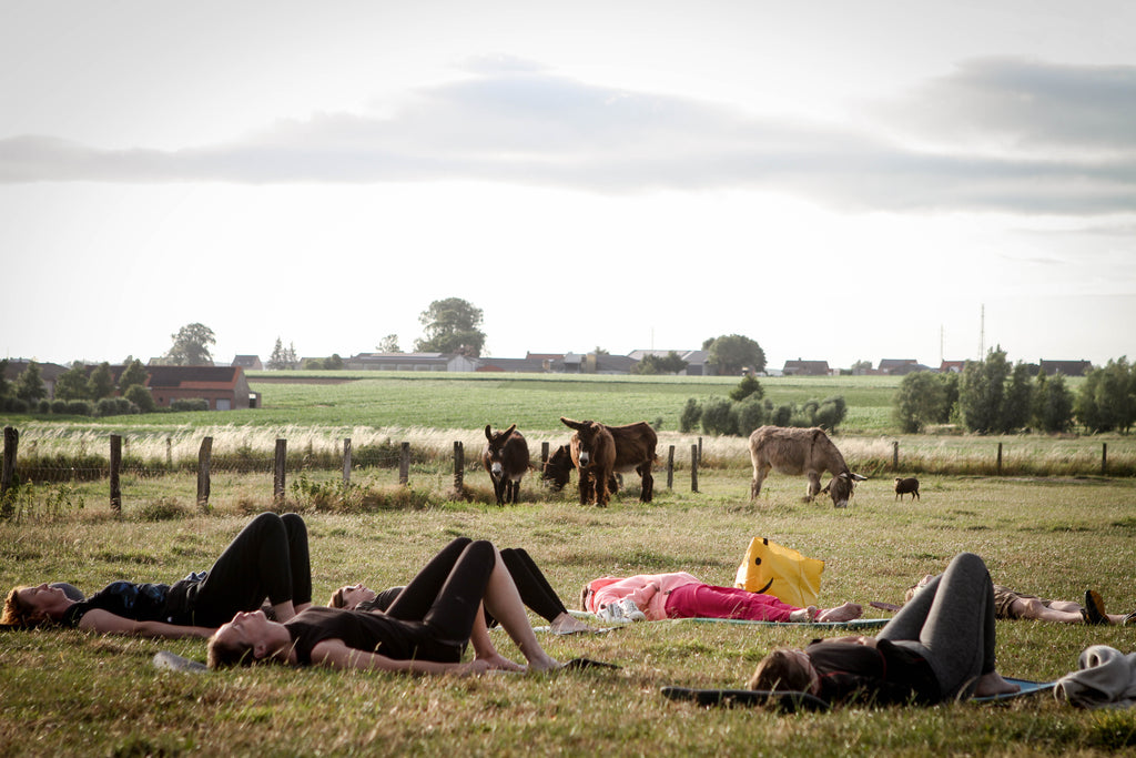 Landen tussen de ezels