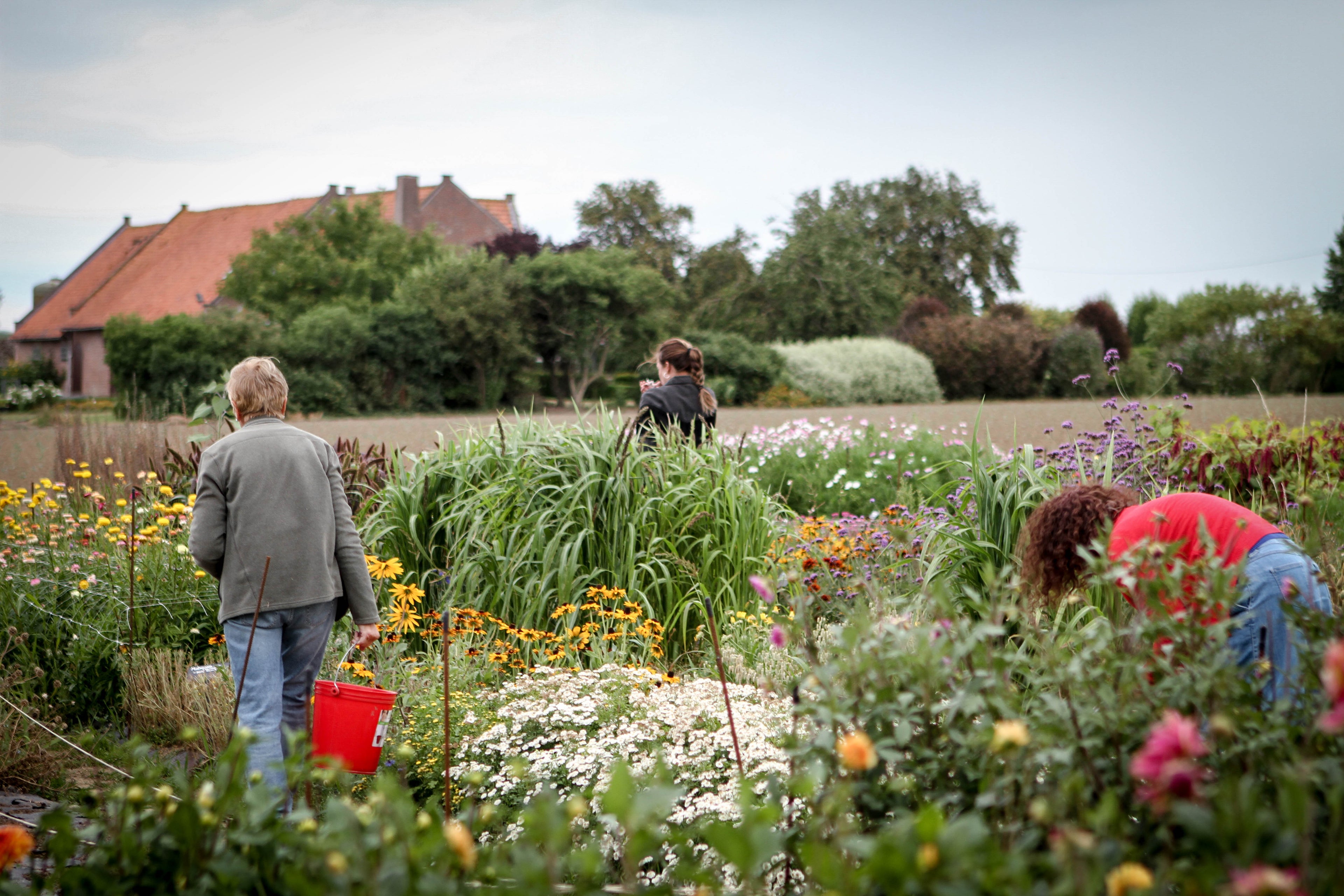 Natuurlijk schikken op het veld