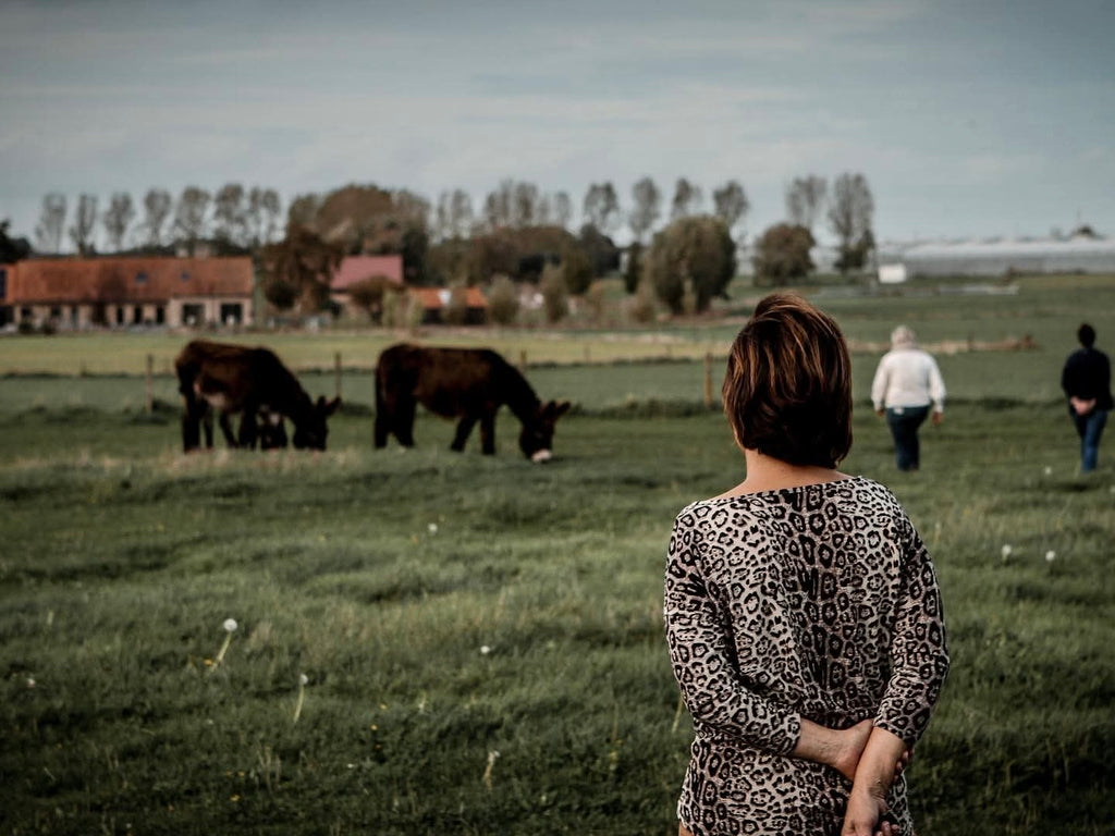 Ademruimte (ochtendreeks)