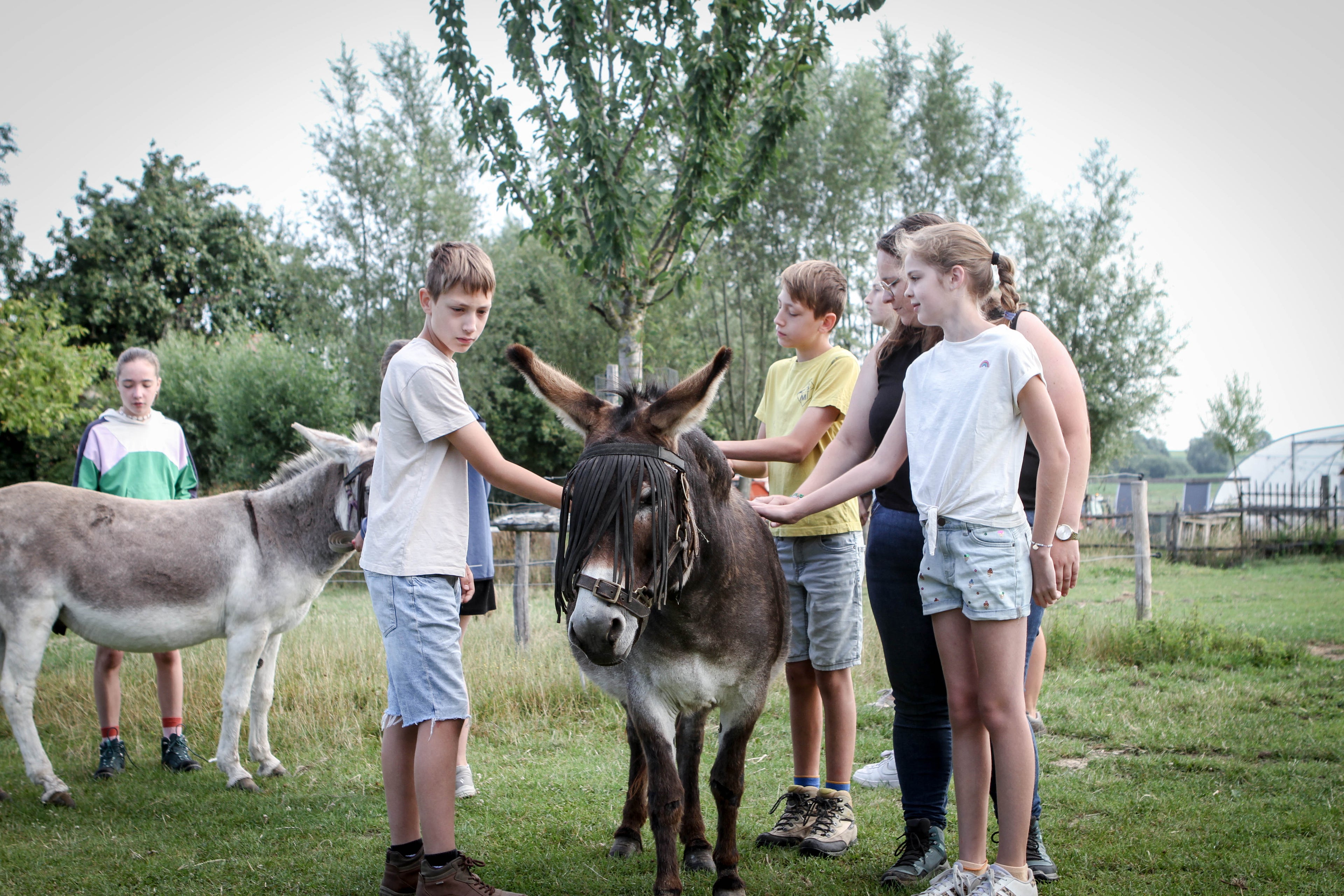 Krachtdagen (mét optie tot overnachting): 15 - 16 - 17 juli 2026