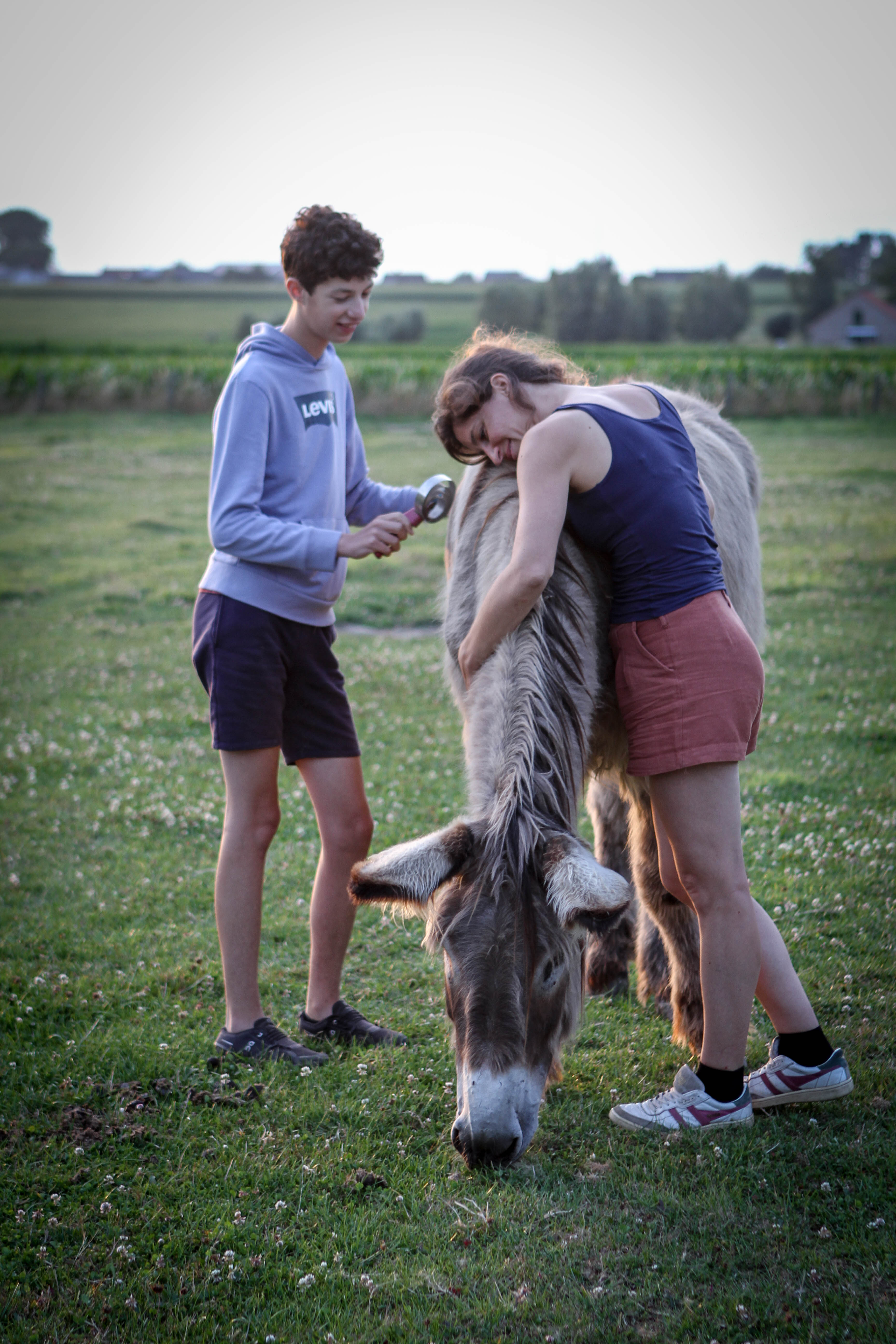 Krachtdagen (mét optie tot overnachting): 15 - 16 - 17 juli 2026