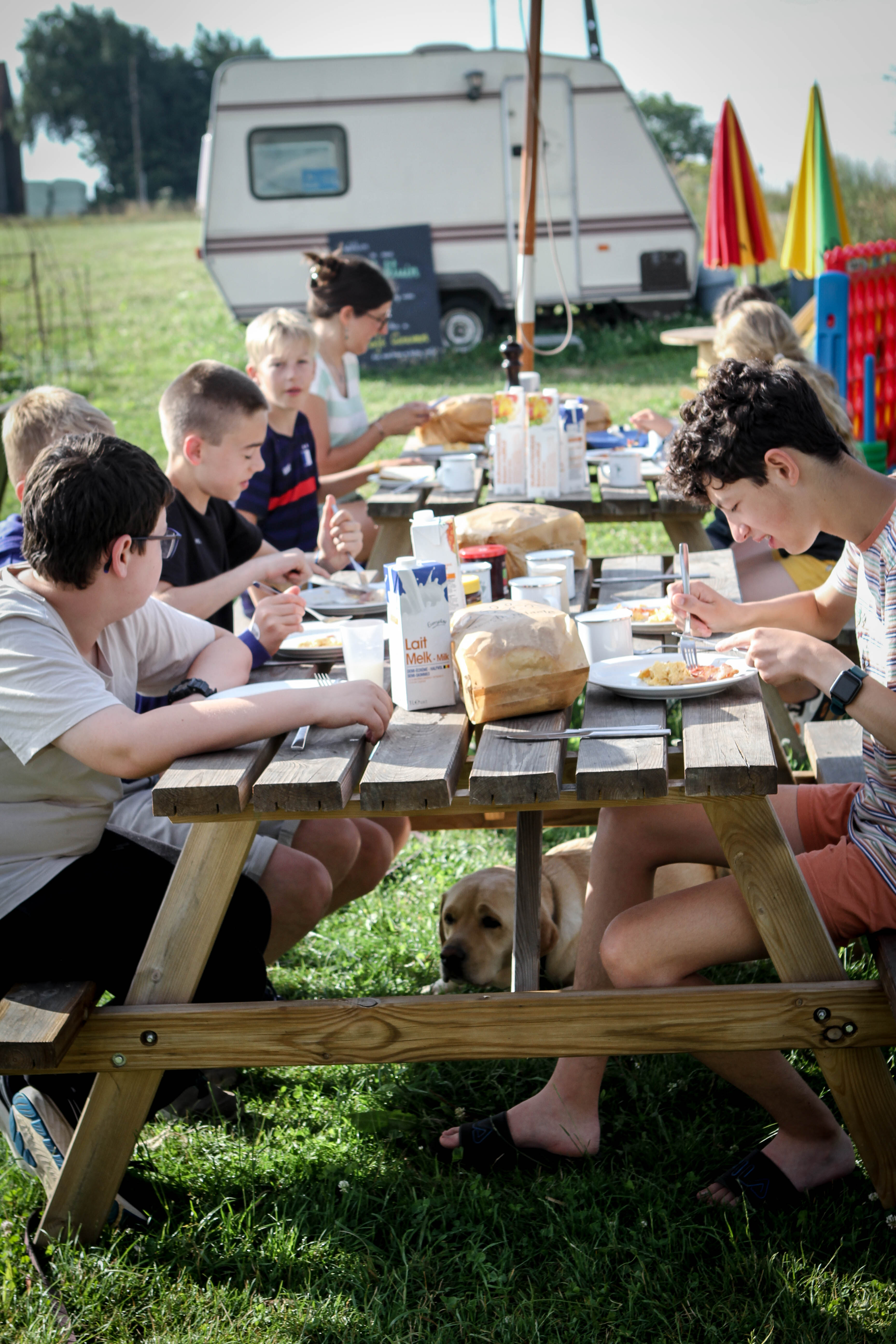 Krachtdagen (mét optie tot overnachting): 15 - 16 - 17 juli 2026