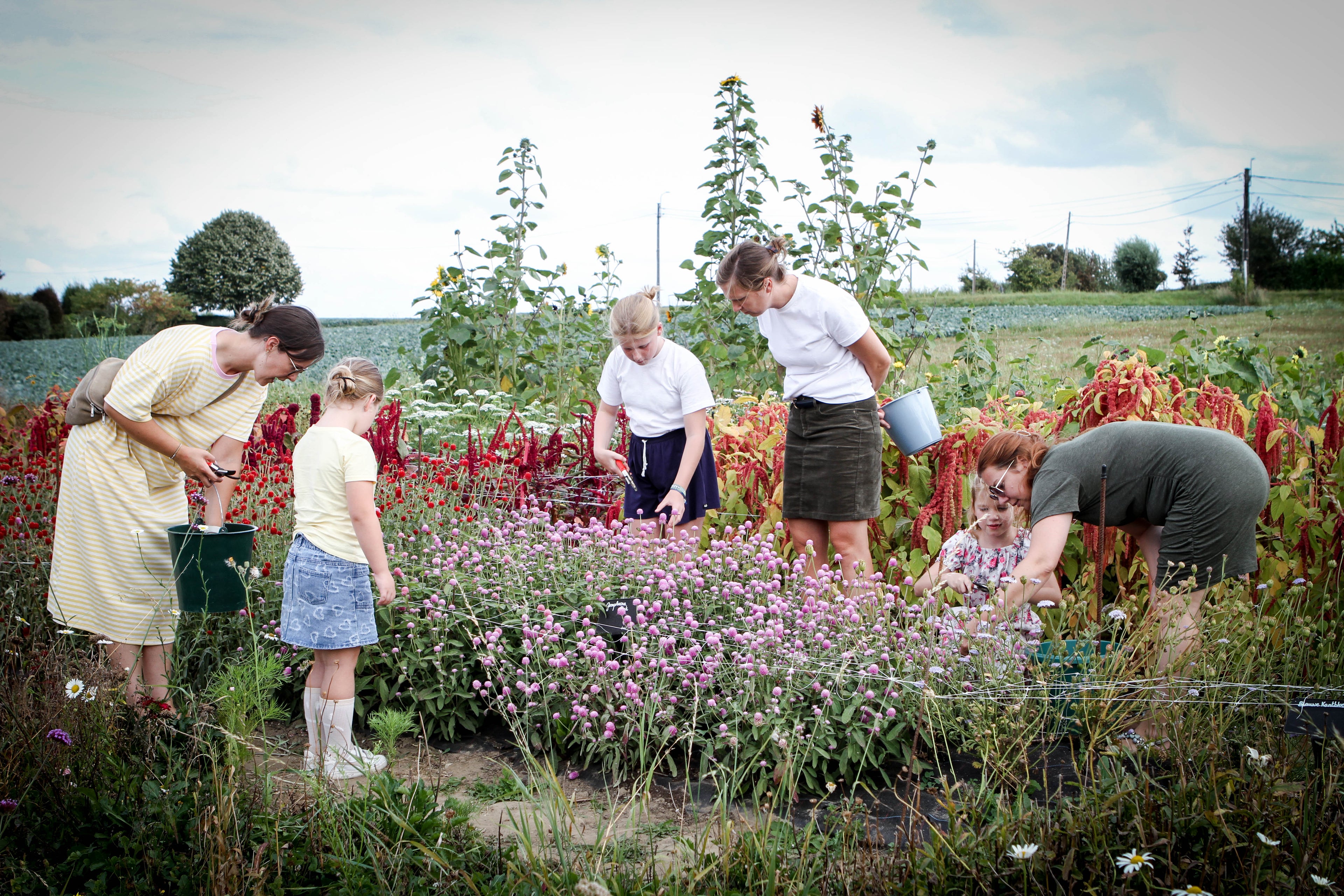 Ouder-kind workshop: bloemenkroontje