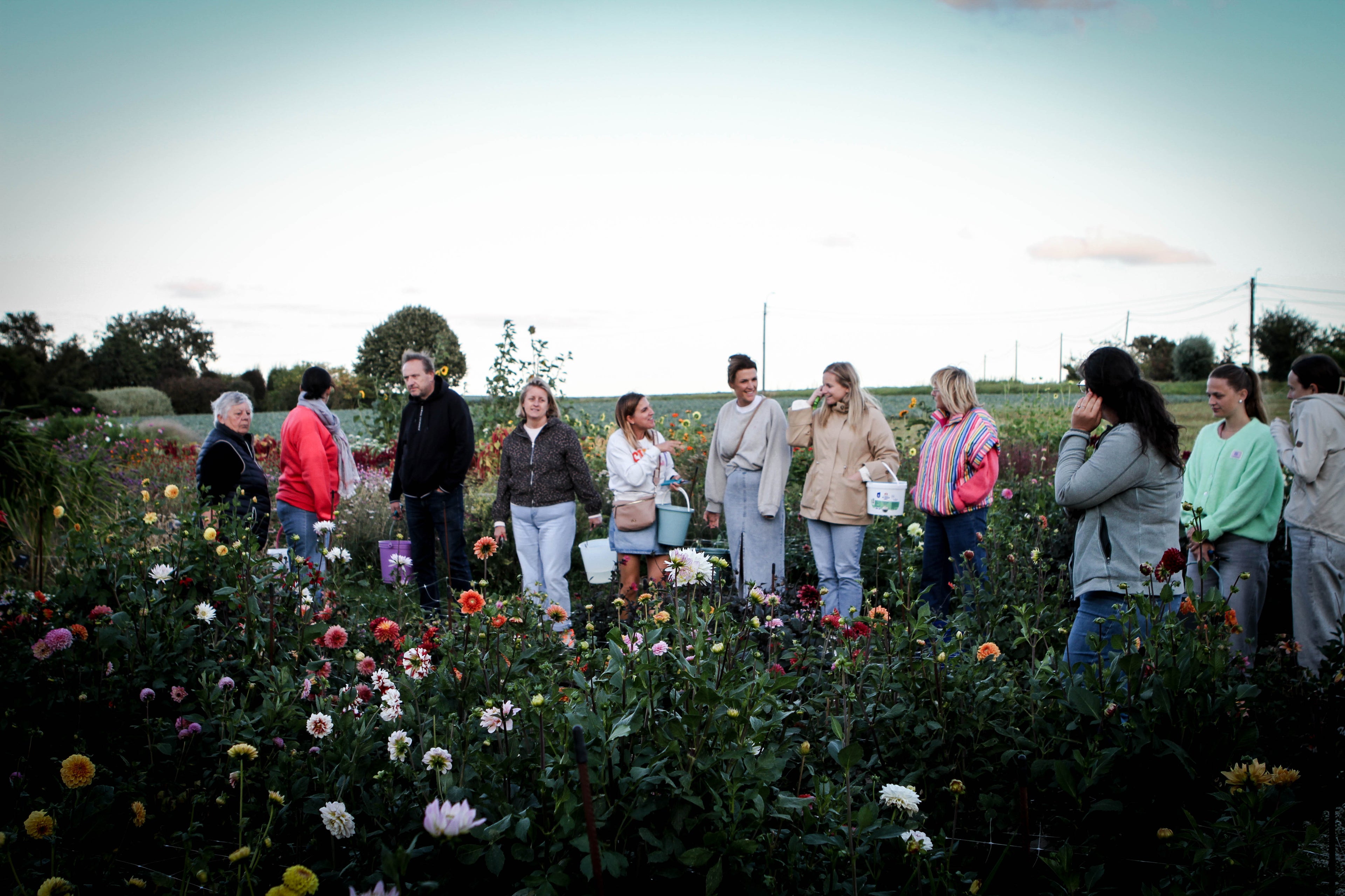 Gezellige plukavonden