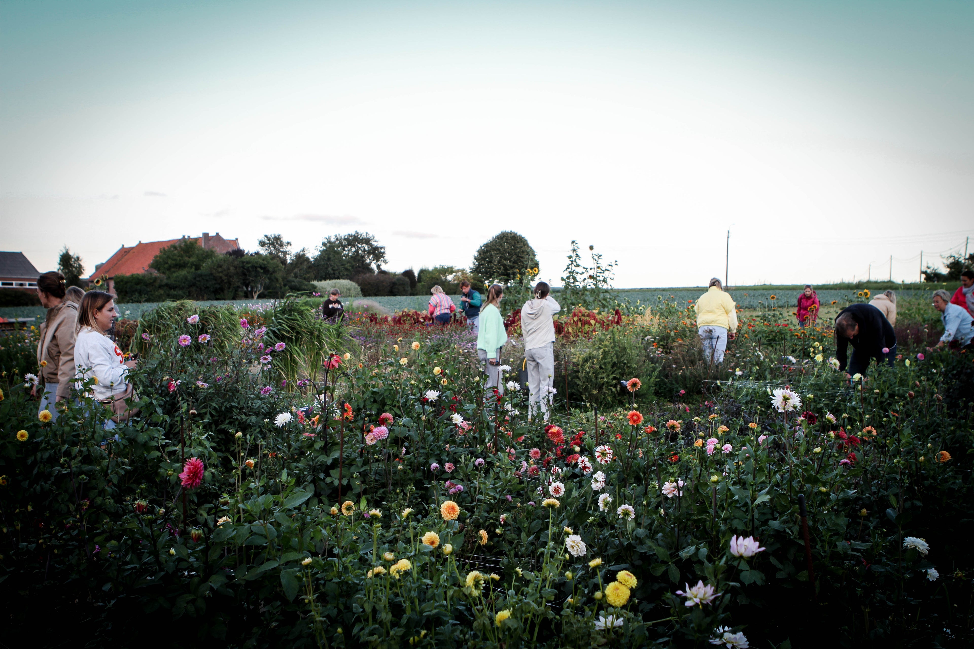 Gezellige plukavonden